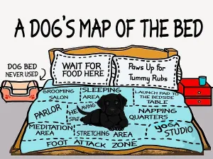 A Dogs Map of the Bed Funny Home Decor Metal Tin Sign | Vintage Retro Style Wall Art Kitchen Decoration Gift for Dog Lover Brand New Vintage
