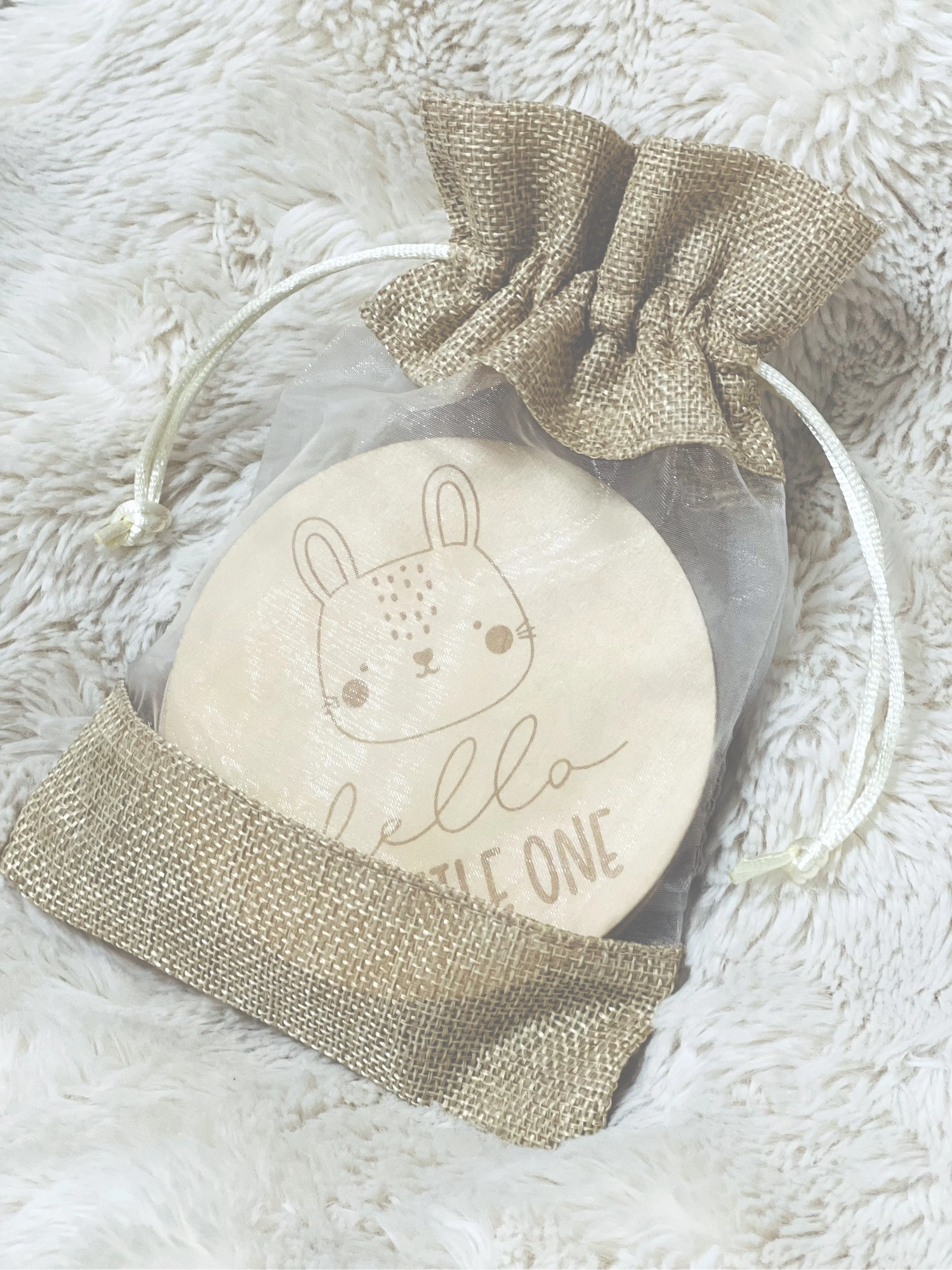 Animal Milestone Wooden Discs