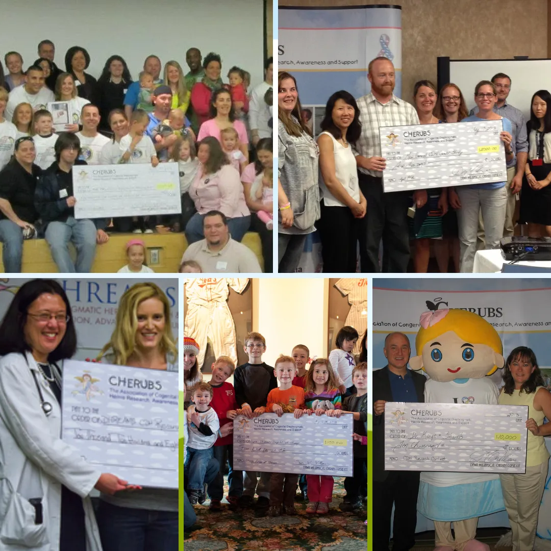CDH International Sponsorship - Research 2022-2023
