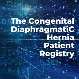 CDH International Sponsorship - Research 2022-2023