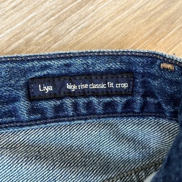 CITIZENS OF HUMANITY Liya High Rise Classic Fit Crop Jeans Premium Vintage 27