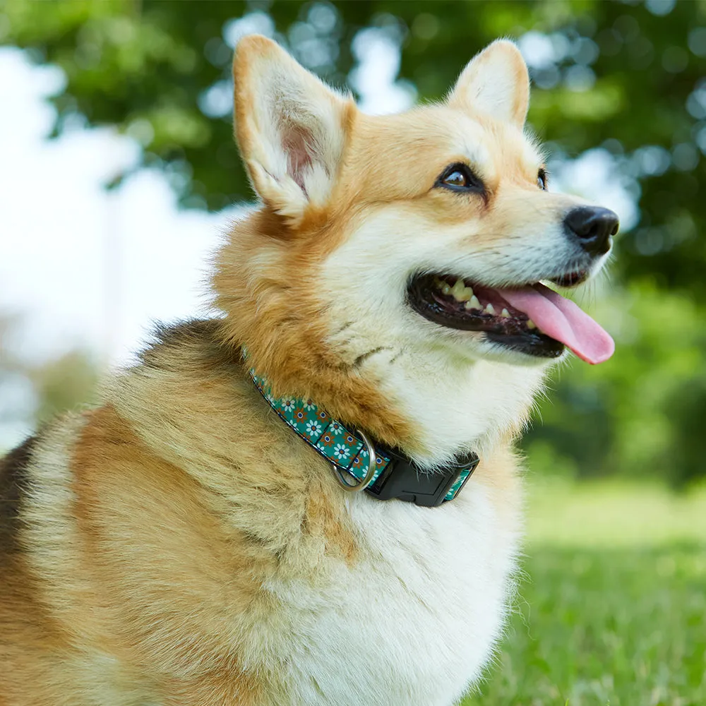Colinette Rosa - Dog Collar