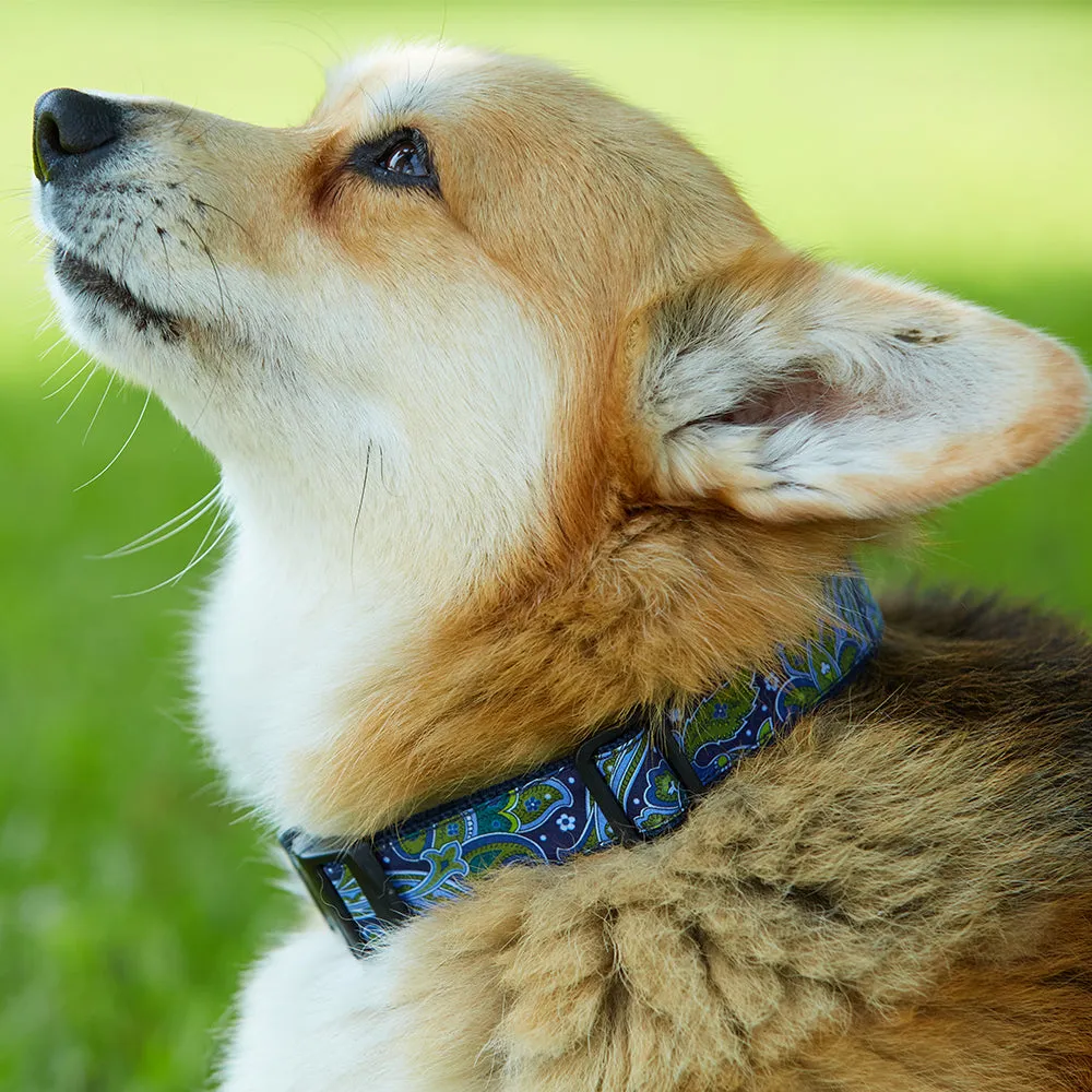 Colinette Rosa - Dog Collar