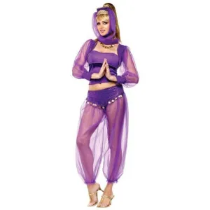 Dreamy Genie Costume