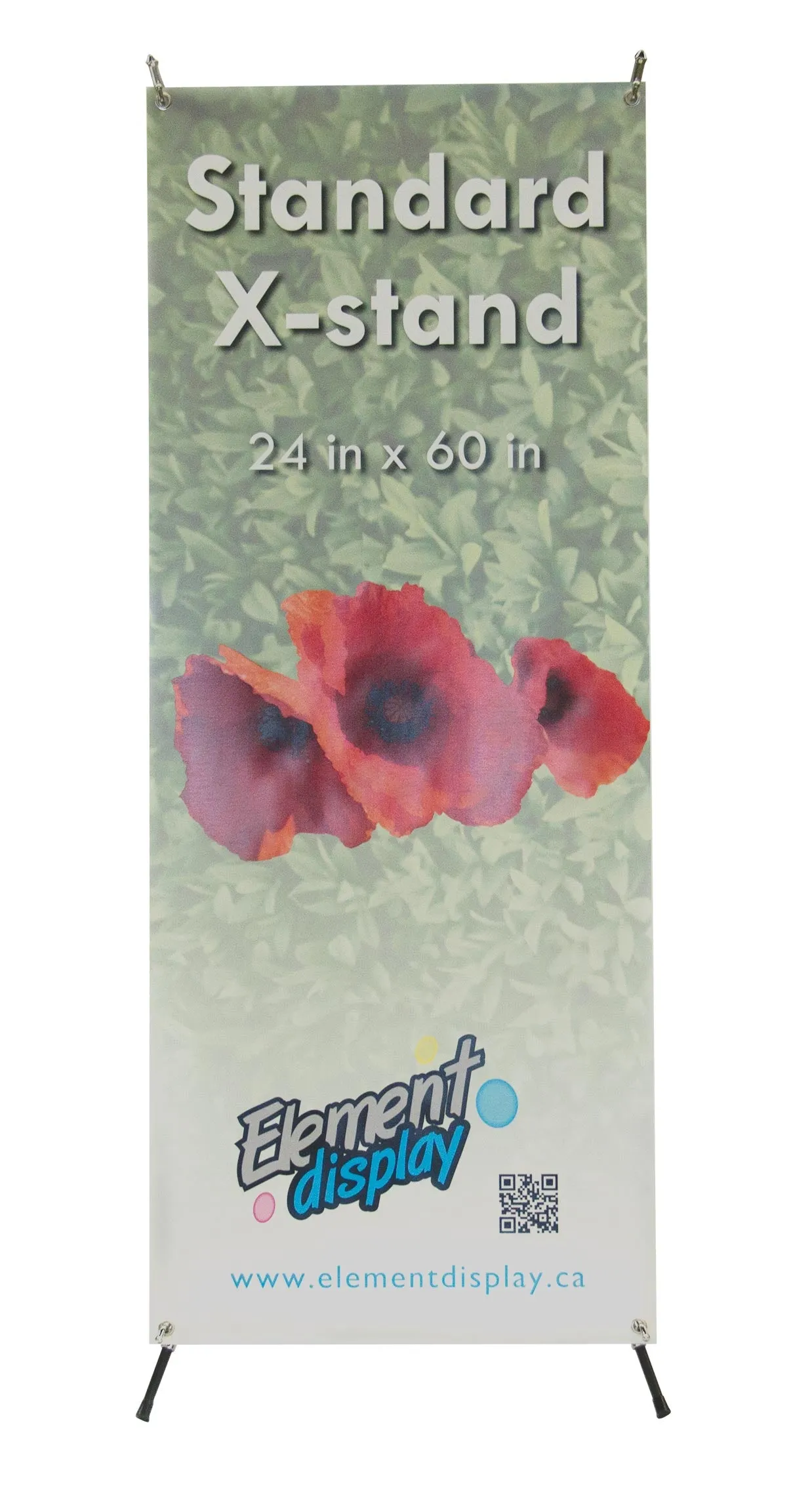 Economy Banner Stand with Graphic (24" x 60")