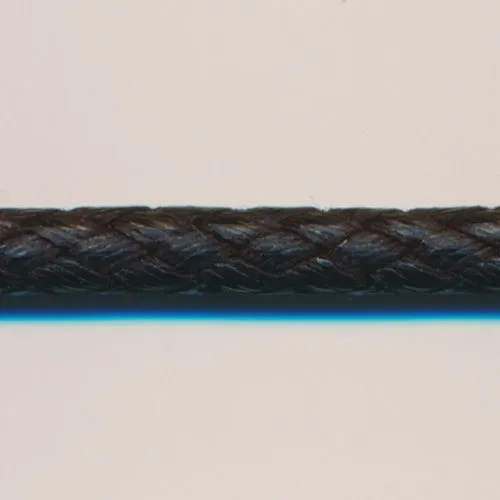 Fake Lizard Cord #50 Black