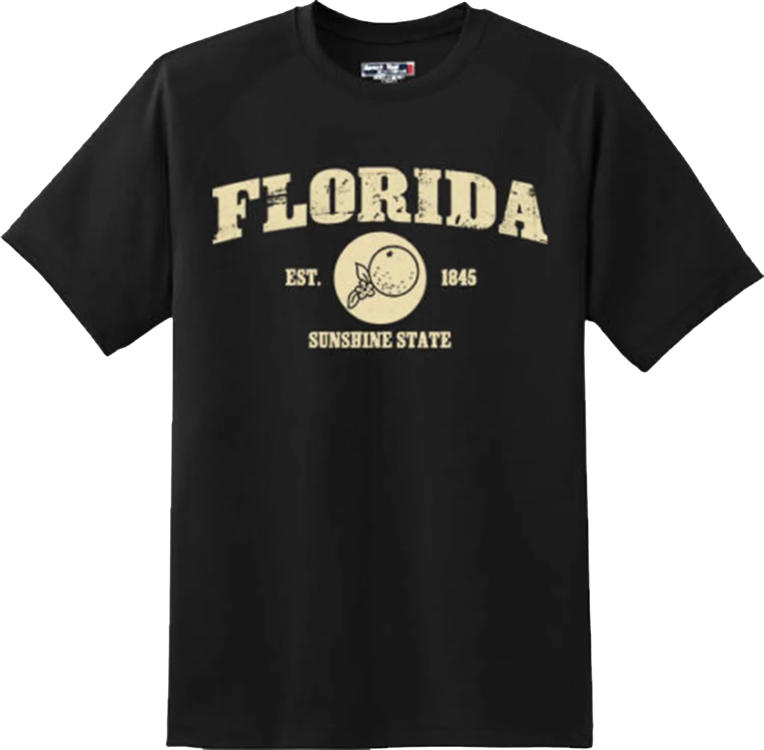 Florida State Vintage Retro Hometown America Gift T Shirt New Graphic Tee