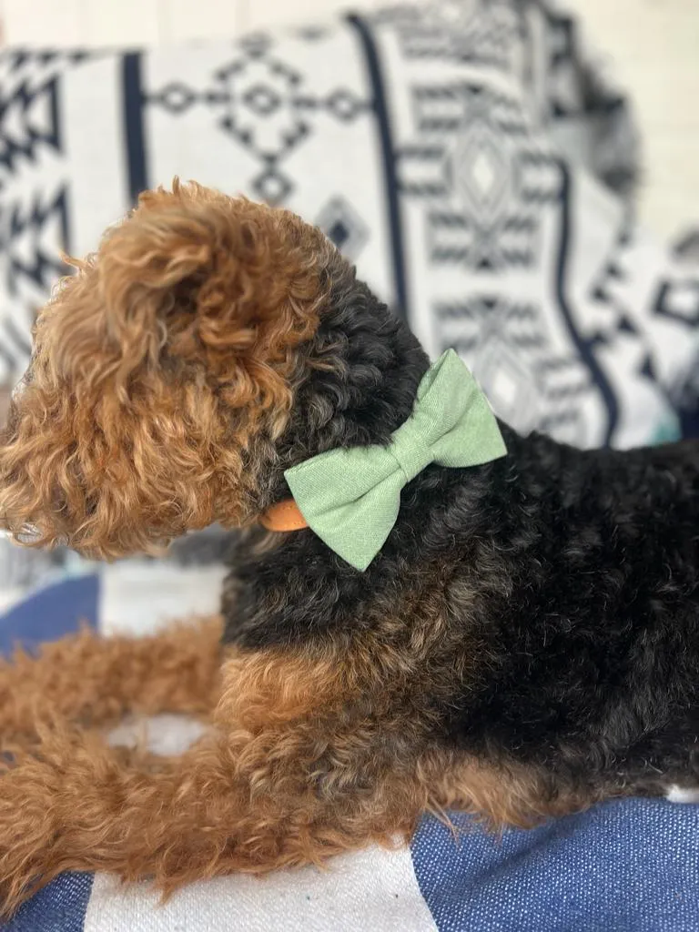 Harrison Sage Green Cotton Blend Dog Bow Tie