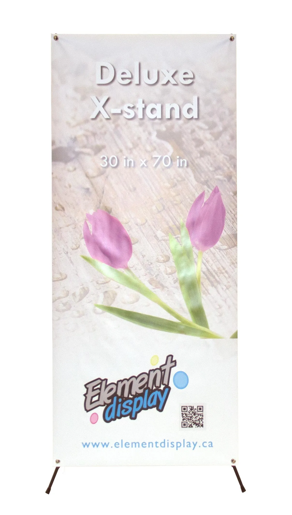Large Economy Banner Stand With Graphic