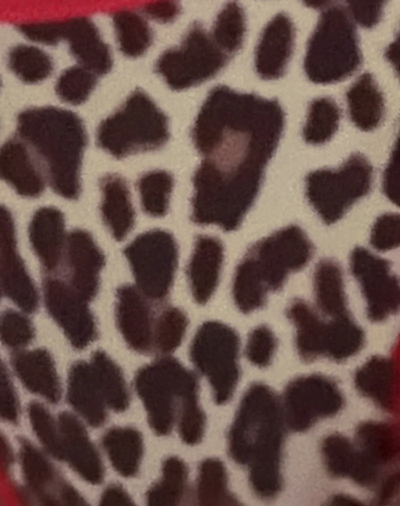 Lentra Contrast Ties Bikini Bottoms in Rar Leopard