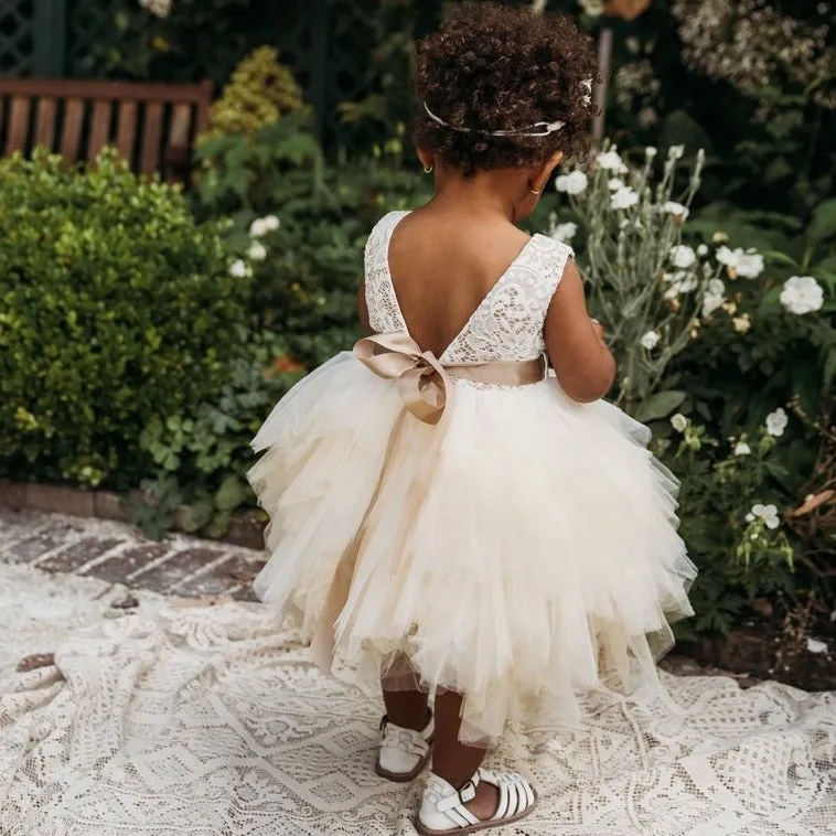 Portia Soiree Gown