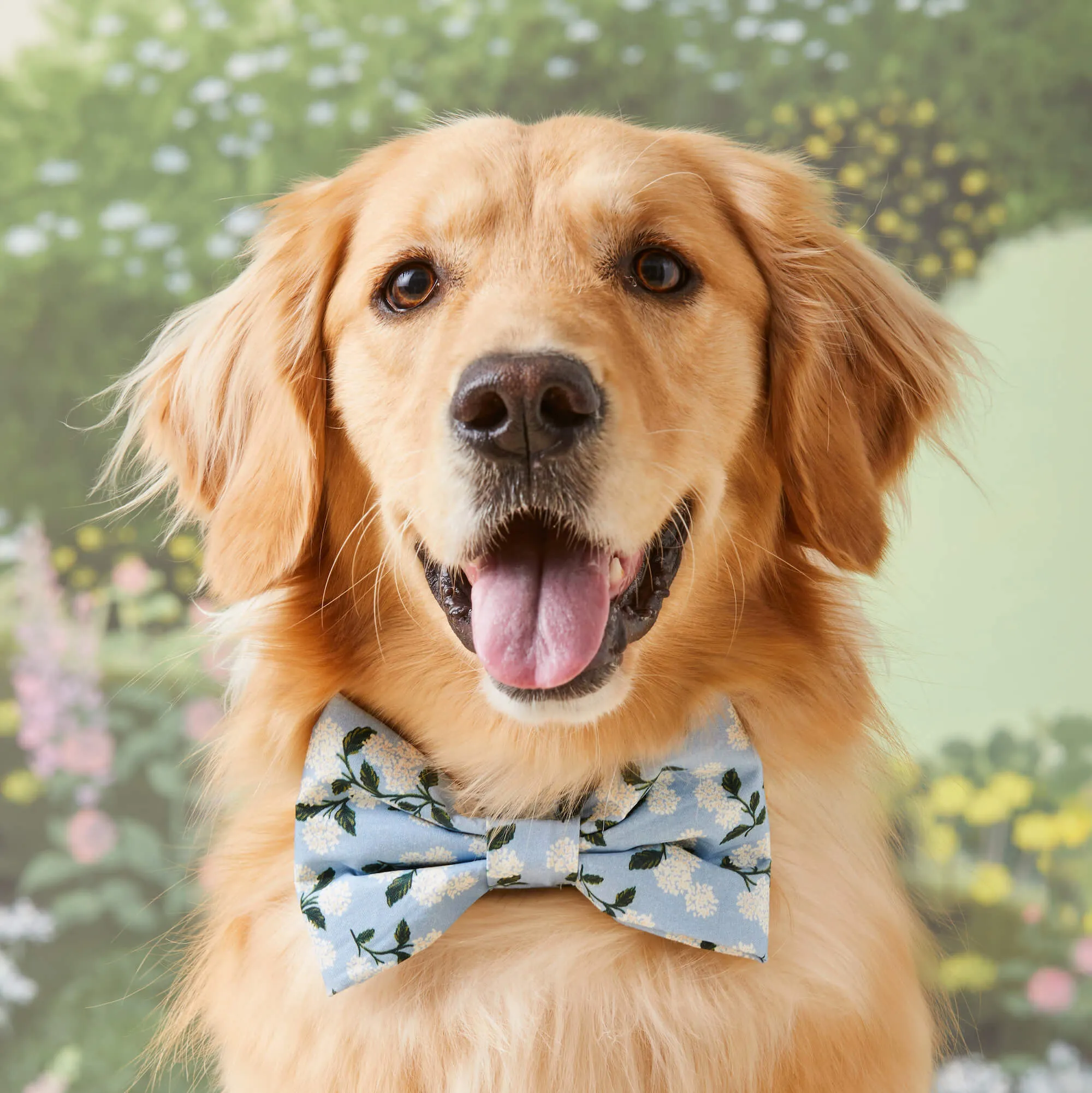 Rifle Paper Co. x TFD Hydrangea Bow Tie Collar