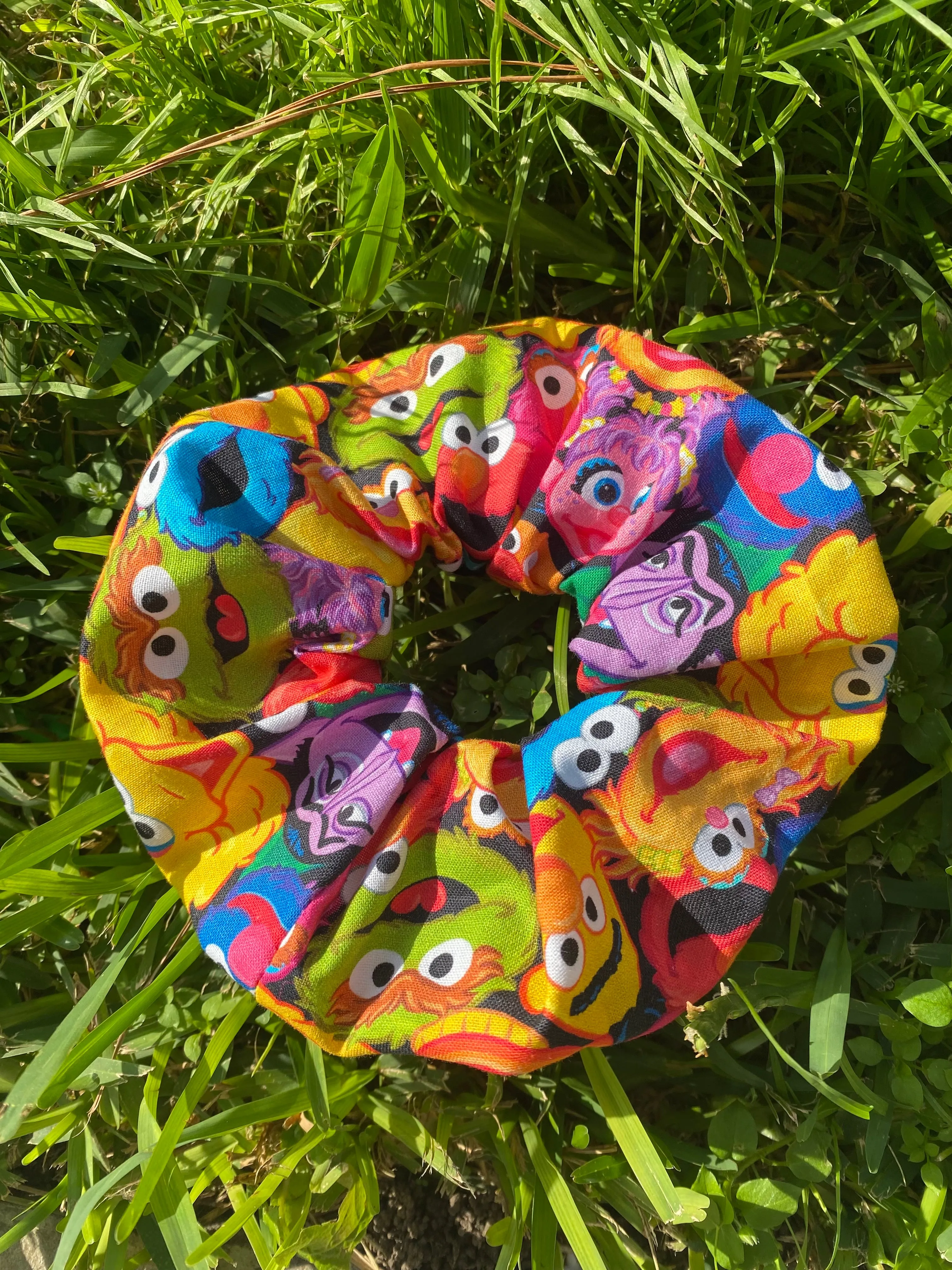 Sesame Street Scrunchie Hair tie accessorie