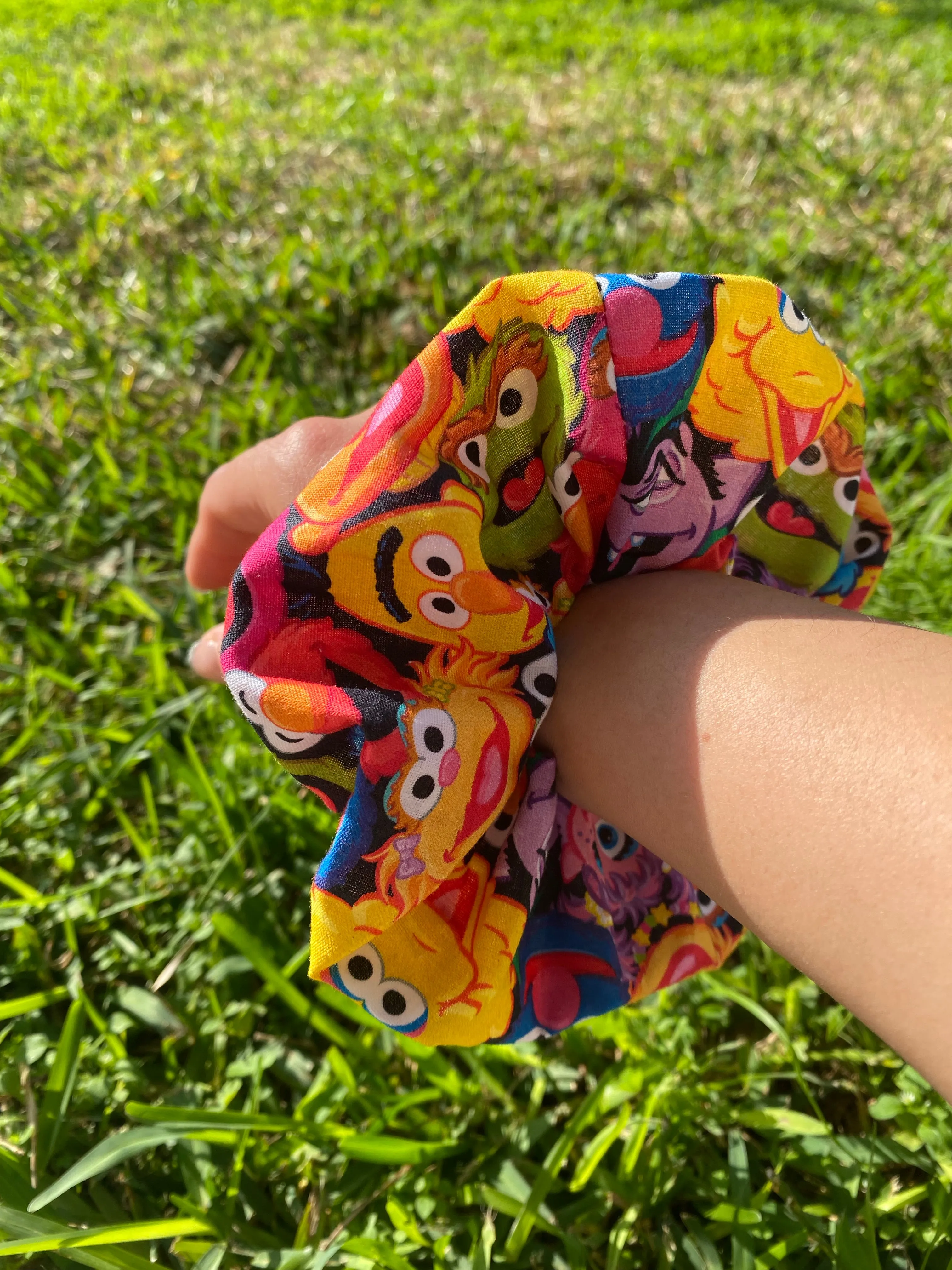 Sesame Street Scrunchie Hair tie accessorie
