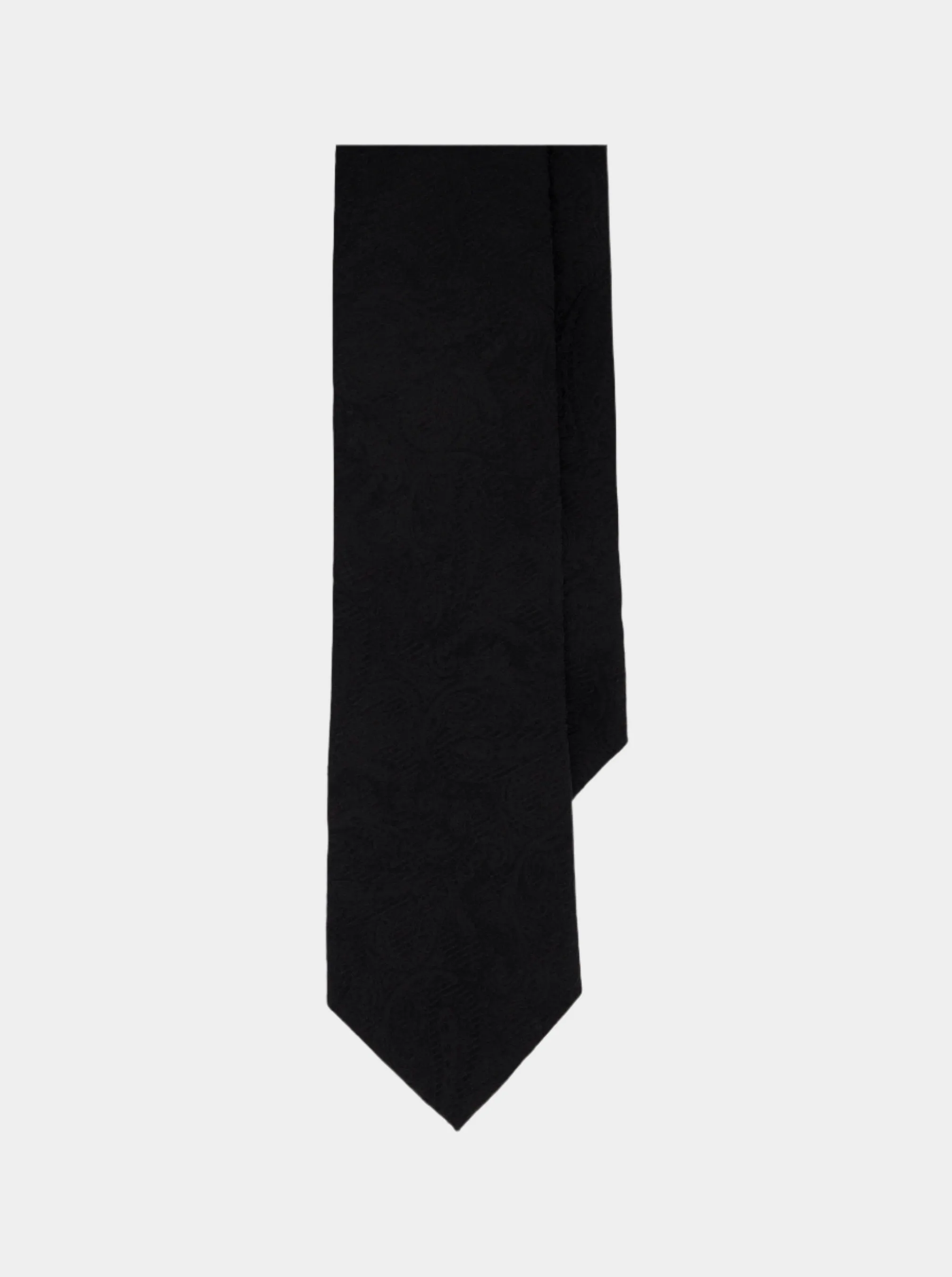 SOLID PAISLEY TIE