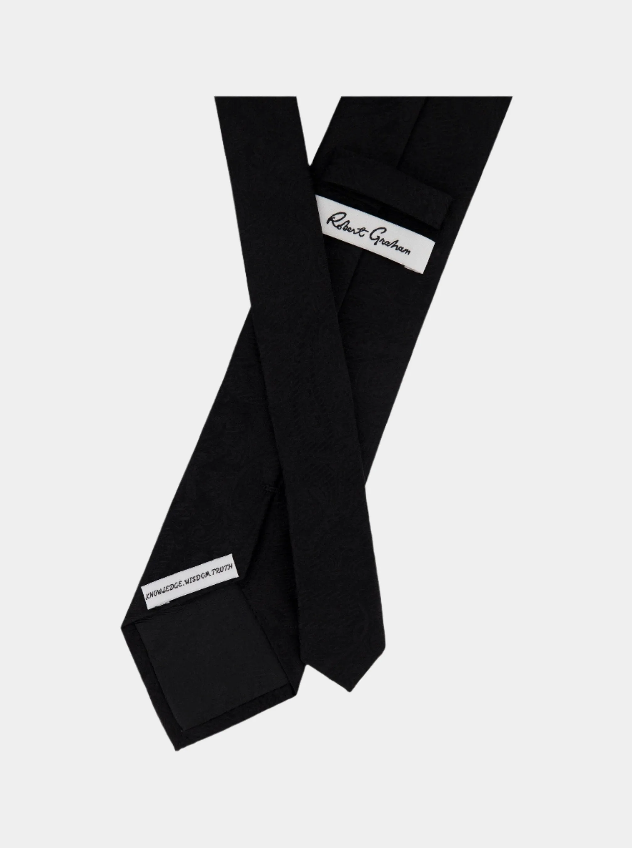 SOLID PAISLEY TIE