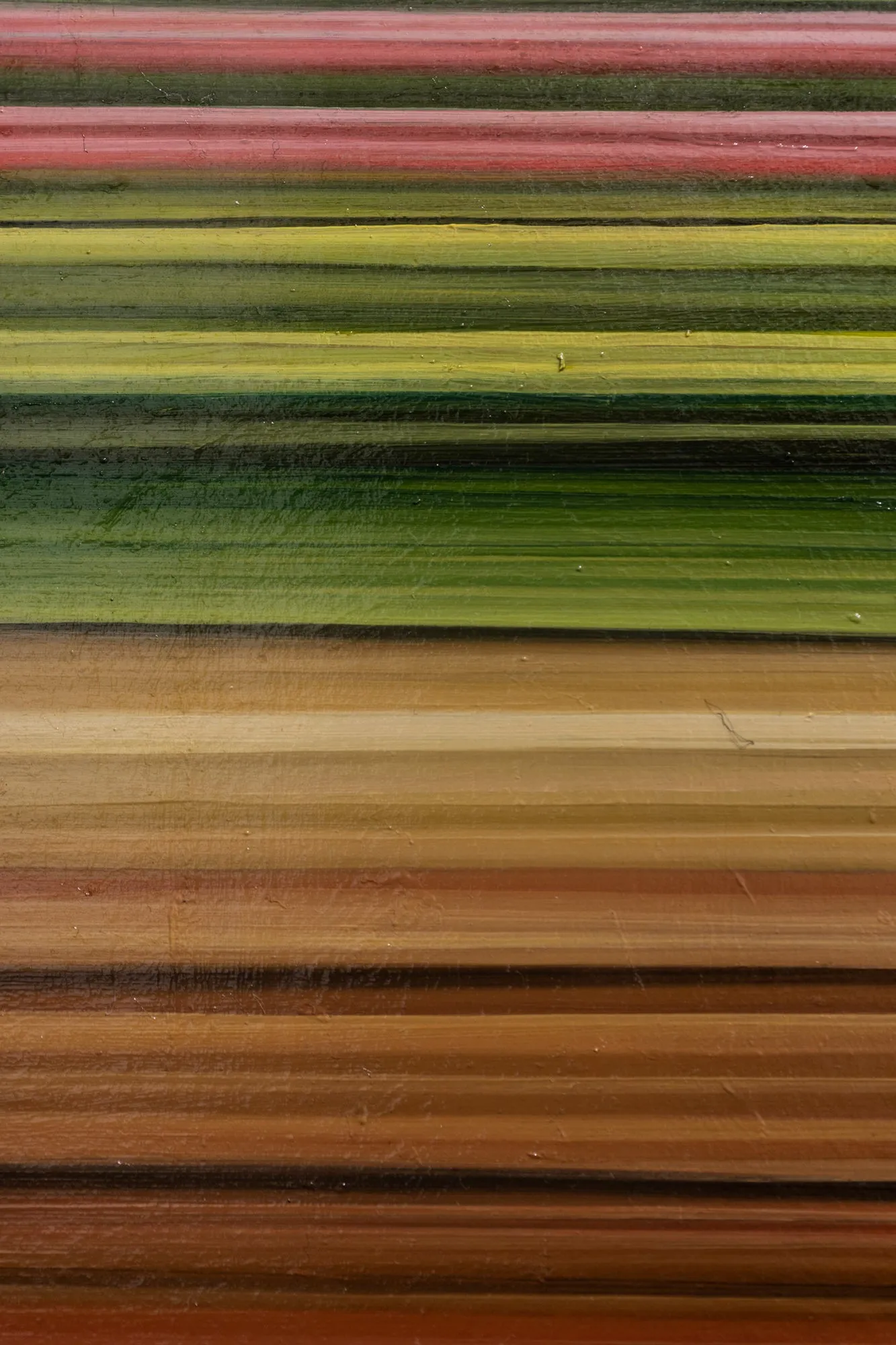 Striped Spitzweg