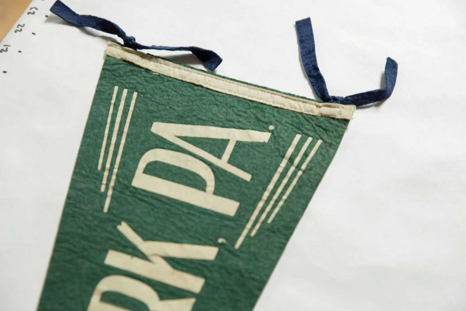 Vintage Lakewood Park, PA. Felt Flag Pennant